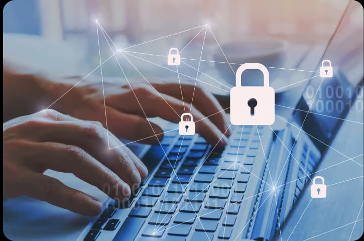 Secure customer data collection process