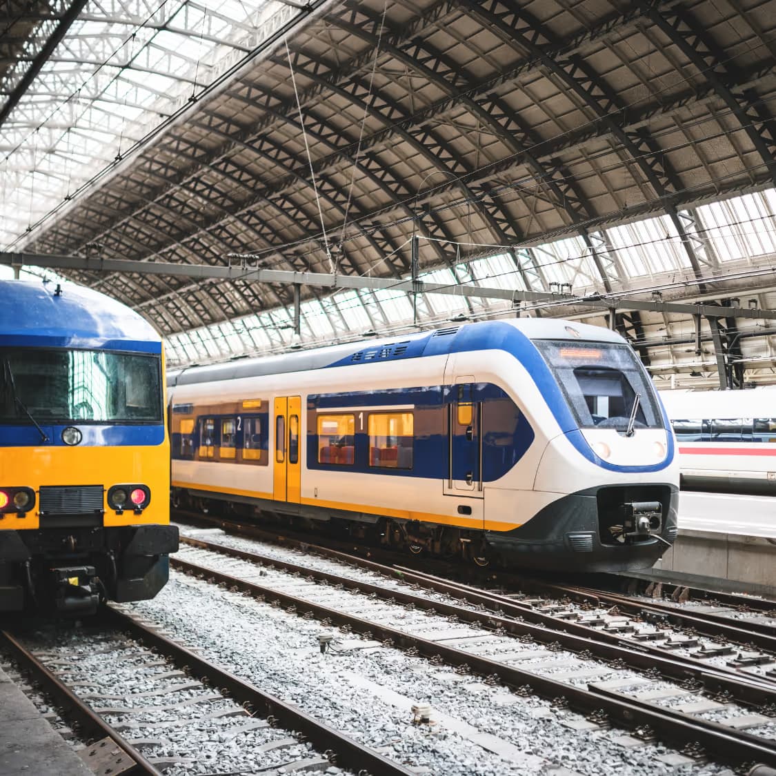 avanti