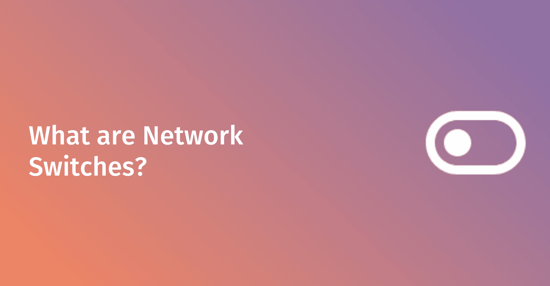 What Is a Network Switch?