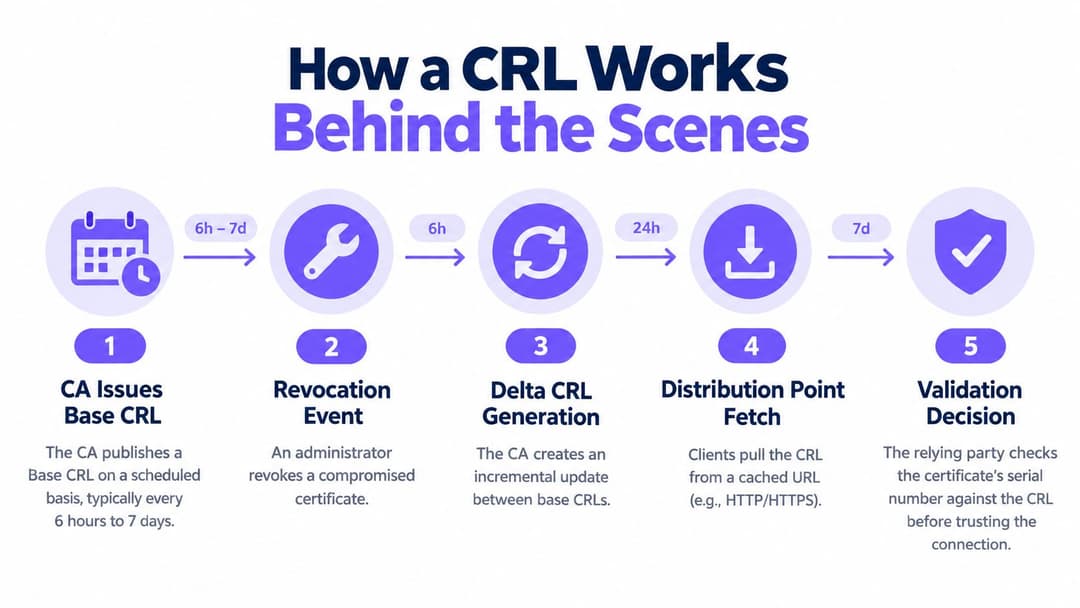 A five-step flowchart illustrating how a Certificate Revocation List (CRL) operates behind the scenes for security.
