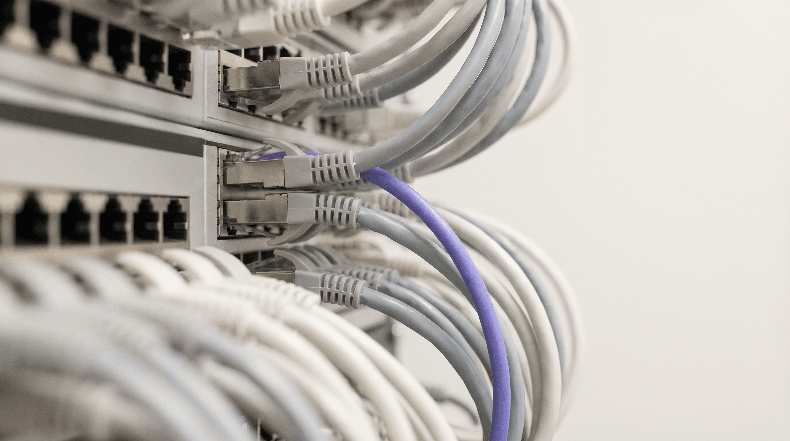 The Complete Guide to Guest WiFi for Businesses