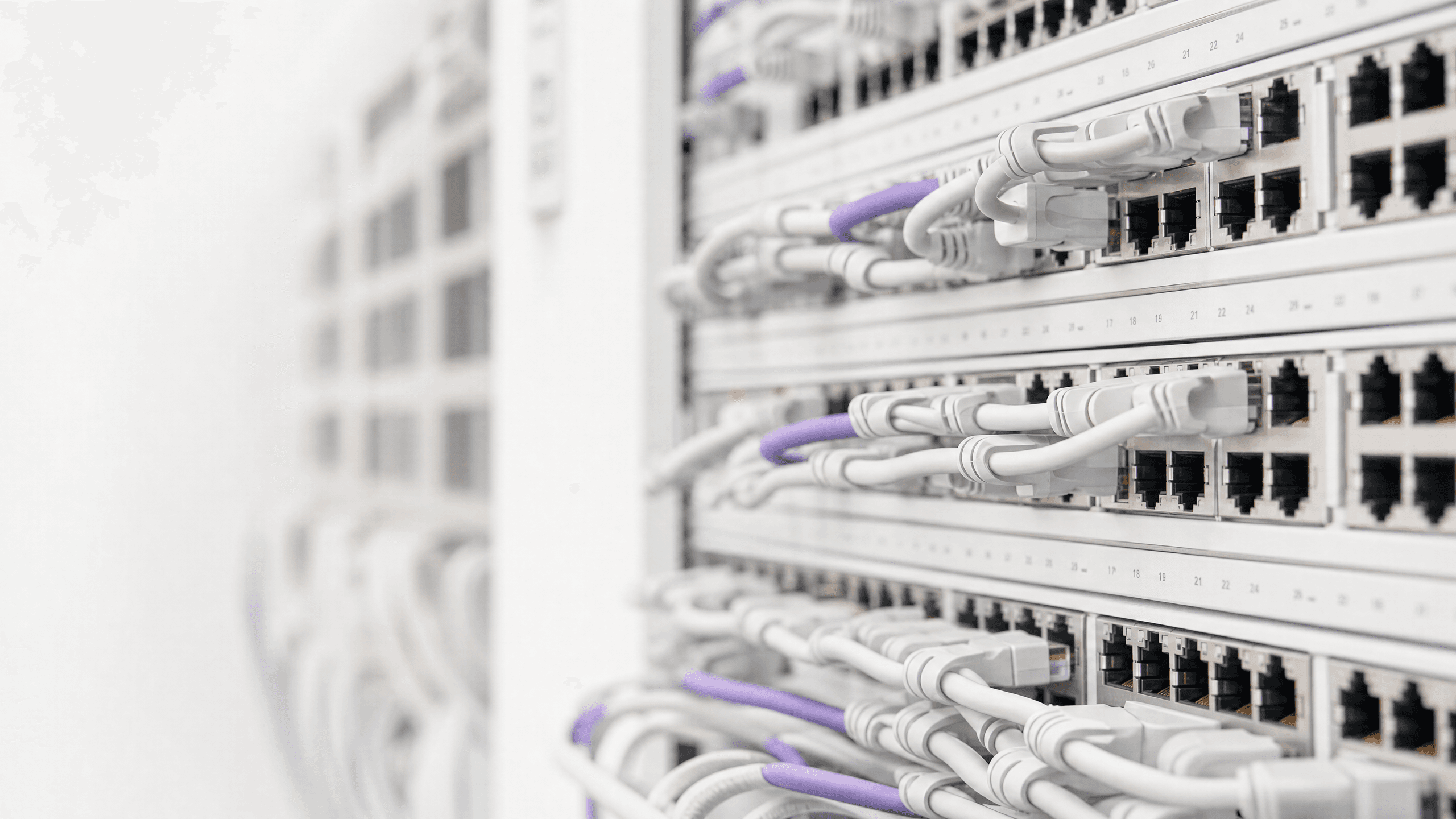 Managed WiFi provider: a comprehensive guide for businesses