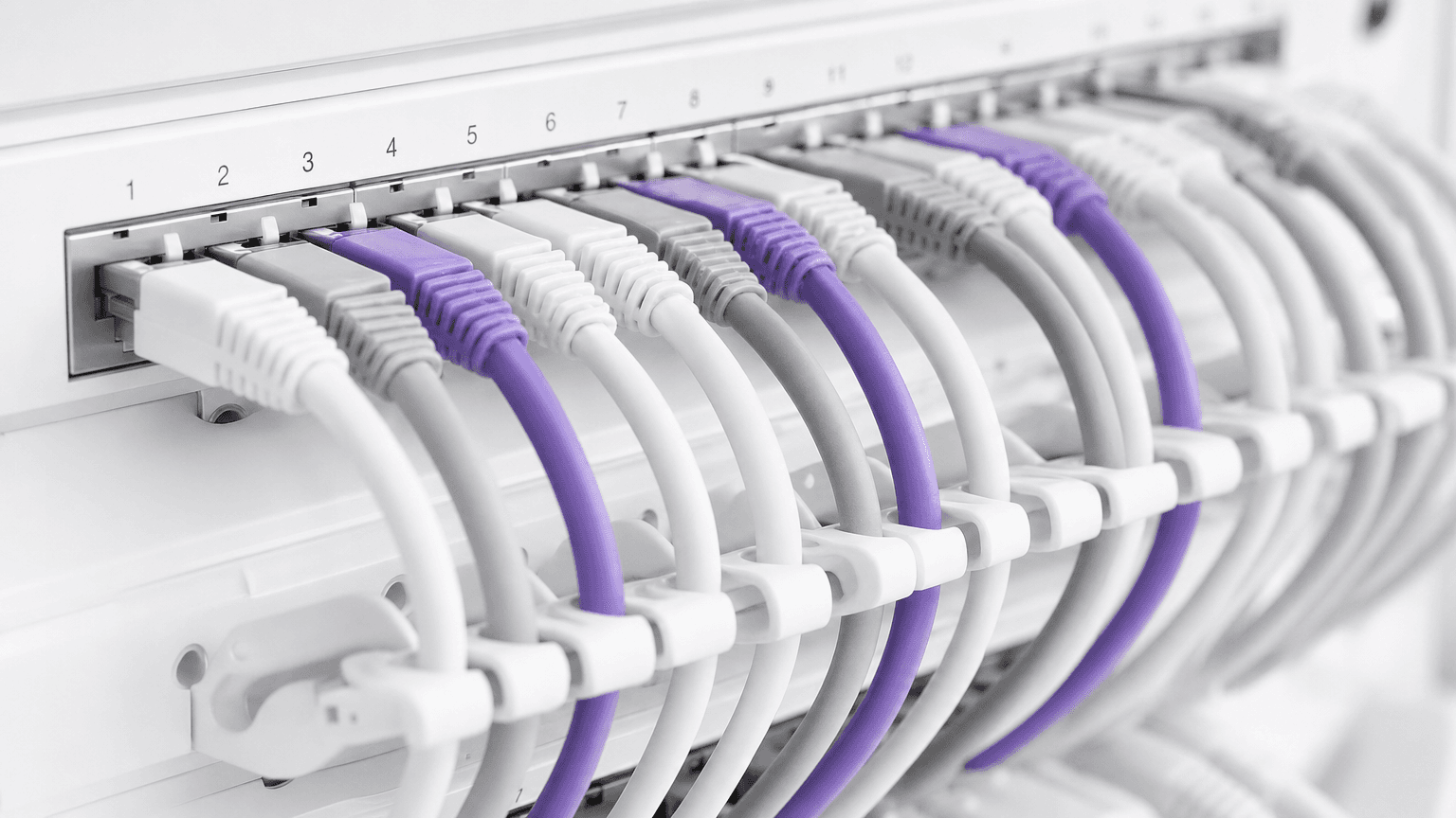 Pourquoi utiliser le marketing WiFi ? L'analyse de rentabilité avec des données réelles